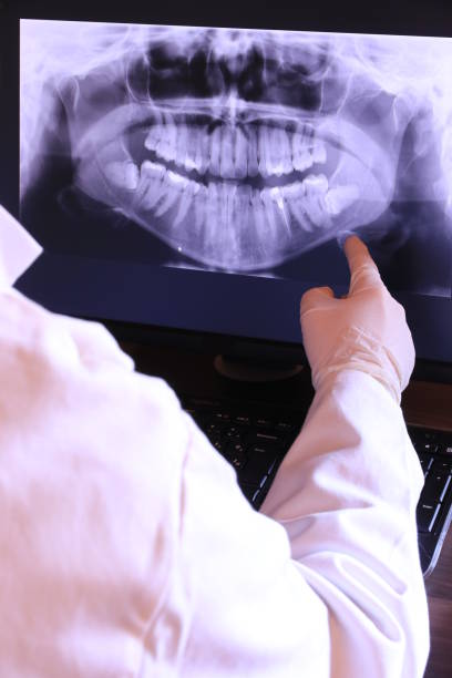 Best Emergency X-Rays and Diagnostics in Grand Island, NE